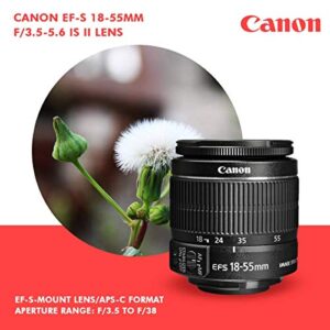 Canon T7 EOS Rebel DSLR Camera with 18-55mm and 75-300mm Lenses Kit & 32GB Dual SD Card Accessory Bundle