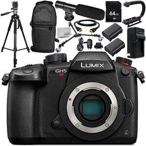 panasonic lumix dc-gh5s mirrorless digital camera 12pc accessory bundle – includes 64gb sd memory card + 2x replacement batteries + more – international version (no warranty)