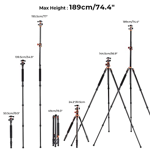K&F Concept 74 inch Camera Tripod,Professional Center Axis Horizontal Tripods with Detachable Monopod,360 Degree Ball Head,Quick Release Plate Compatible with DSLR Cameras T254A4+BH-28L(SA254T3)