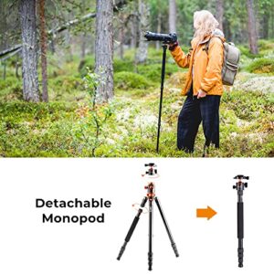 K&F Concept 74 inch Camera Tripod,Professional Center Axis Horizontal Tripods with Detachable Monopod,360 Degree Ball Head,Quick Release Plate Compatible with DSLR Cameras T254A4+BH-28L(SA254T3)