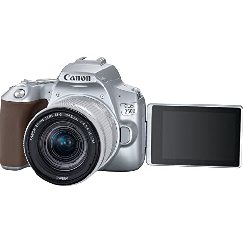 Canon EOS 250D / Rebel SL3 DSLR Camera with 18-55mm Lens (Silver) (3461C001) + 64GB Memory Card + Color Filter Kit + Filter Kit + LPE17 Battery + External Charger + Card Reader + More (Renewed)