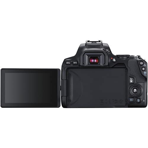 Canon EOS Rebel SL3 DSLR Camera with 18-55mm Lens (Black) (3453C002) + Canon EF 50mm Lens + 64GB Card + Color Filter Kit + Case + Filter Kit + Corel Photo Software + LPE17 Battery + More (Renewed)