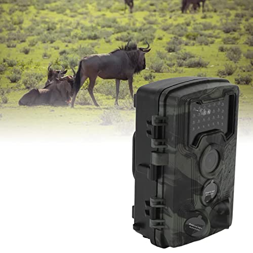 Shanrya 1080P Trail Camera Hunting Camera 2.4in 1.3MP CMOS for Travel