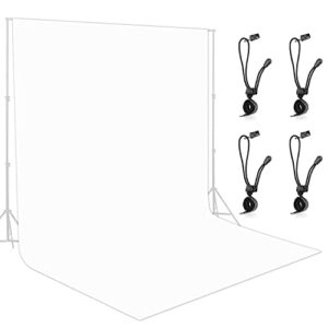 lidlife 10 x 10 ft white backdrop background for photography, wrinkle-resistant photography backdrop background with 4 backdrop clip, polyester fabric chromakey white screen for video studio photo