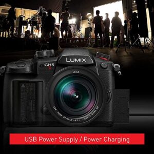 Panasonic LUMIX GH5M2, 20.3MP Mirrorless Micro Four Thirds Camera with Live Streaming, 4K 4:2:2 10-Bit Video, 5-Axis Image Stabilizer, 12-60mm F2.8-4.0 Lens with Rear Lens Cap, Gadget Bag & More