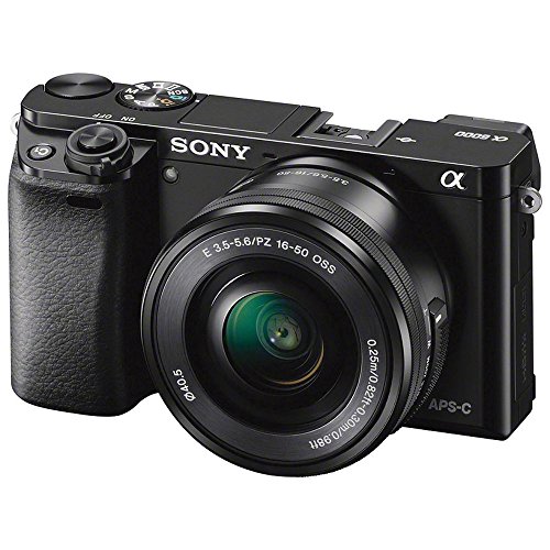 Sony Alpha a6000 Mirrorless Camera with 16-50mm and 55-210mm Lenses ILCE6000Y/B with Soft Bag, Tripod, Additional Battery, 64GB Memory Card, Card Reader, Plus Essential Accessories