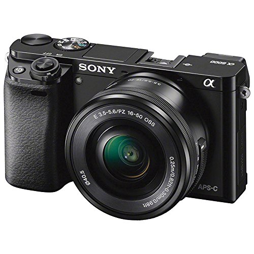 Sony Alpha a6000 Mirrorless Camera with 16-50mm and 55-210mm Lenses ILCE6000Y/B with Soft Bag, Additional Battery, 64GB Memory Card, Card Reader, Plus Essential Accessories