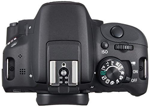 Canon DSLR Camera EOS Kiss X7 Body Only - International Version (No Warranty)