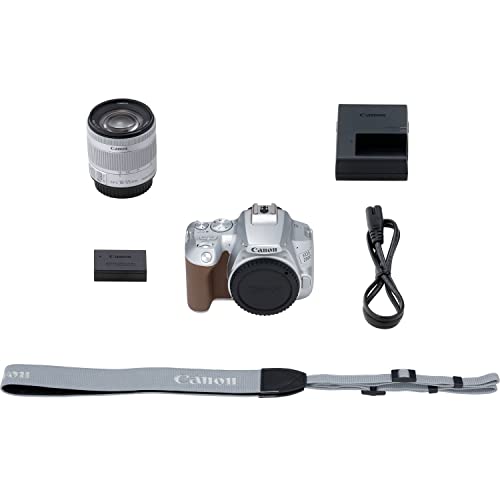 Canon EOS 250D / Rebel SL3 DSLR Camera with 18-55mm Lens (Silver) (3461C001) + 64GB Memory Card + Color Filter Kit + Filter Kit + 2 x LPE17 Battery + External Charger + Card Reader + More (Renewed)