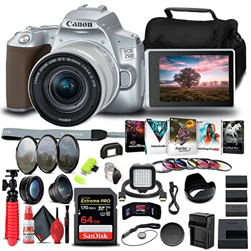 Canon EOS 250D / Rebel SL3 DSLR Camera with 18-55mm Lens (Silver) (3461C001) + 64GB Memory Card + Color Filter Kit + Filter Kit + 2 x LPE17 Battery + External Charger + Card Reader + More (Renewed)