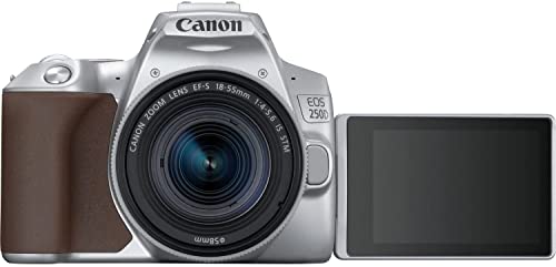 Canon EOS 250D / Rebel SL3 DSLR Camera with 18-55mm Lens (Silver) (3461C001) + 64GB Memory Card + Color Filter Kit + Filter Kit + 2 x LPE17 Battery + External Charger + Card Reader + More (Renewed)