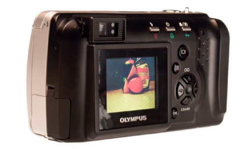 Olympus D-460 1.3MP Digital Camera w/ 3x Optical Zoom