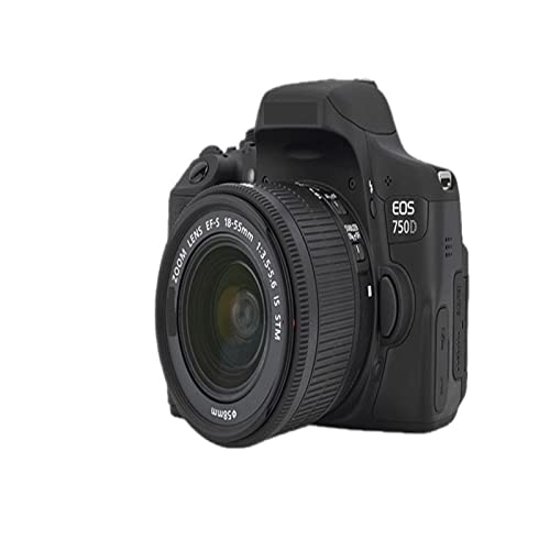 Camera EOS 750D DSLR Camera EF-S 18-55mm F/3.5-5.6 is STM Lens Digital Camera (Size : with 18-55mm Lens)