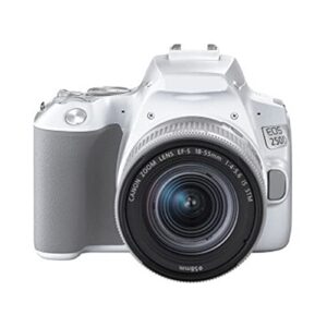 camera camera eos 250d dslr digital camera with ef-s 18-55mm f4-f5.6 stm lens digital camera (color : eos 250d-01)