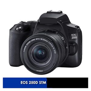 Camera Camera EOS 250D DSLR Digital Camera with EF-S 18-55mm F4-F5.6 STM Lens Digital Camera (Color : EOS 250D-01)