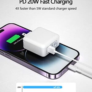 USB C Charger 40W PD iPhone Fast Charger with 3-Port Type C Foldable Adapter Compatible for iPhone 14 Pro Max/14 Plus/13, MacBook Pro, iPad Pro, AirPods Pro, Samsung Galaxy and More