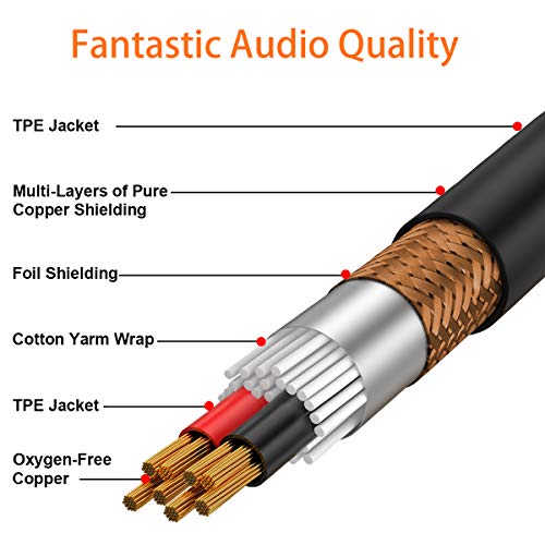 TISINO 1/8 to 1/4 Stereo Cable, 1/8 Inch TRS Stereo to Dual 1/4 inch TS Mono Y-Splitter Cable 3.5mm Aux Mini Jack to Jack Breakout Cord - 10 feet