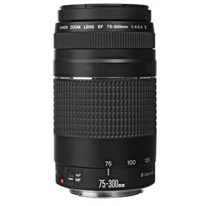 Canon EOS Rebel T8i DSLR Camera w/EF-S 18-55mm F/4-5.6 is STM Lens + EF 75-300mm f/4-5.6 III Lens + 500mm f/8 Focus Lens + 2X 64GB Memory + Case + Filters + Tripod + More (35pc Bundle)