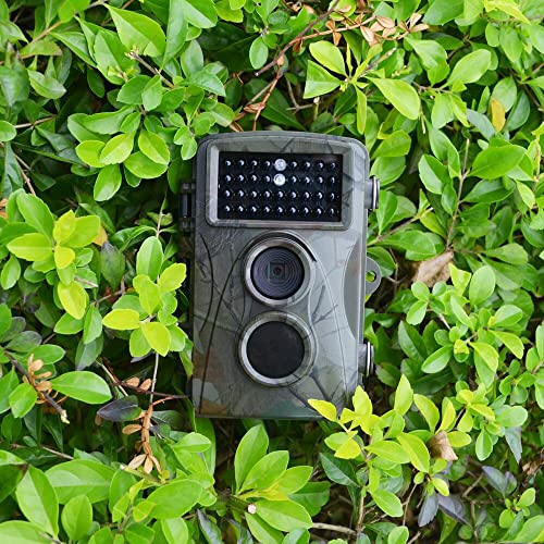 GOYOJO 5MP/1080P Trail Camera (ArmyGreen)