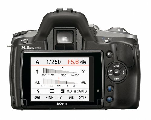 Sony Alpha A380L 14.2 MP Digital SLR Camera with Super SteadyShot INSIDE Image Stabilization and 18-55mm Lens