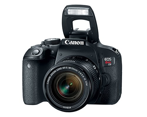 Canon EOS Rebel T7i US 24.2 Digital SLR Camera with 3-Inch LCD, Black (1894C002)