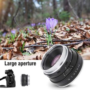 Camera Lens Portable Mirrorless Camera Lens 25mm F1.8 Multi-Layer Coating Mirrorless Camera Lens EF-M/EOSM Mount for Canon M2/M3/M5/M6/M10/M100/M50(Black)