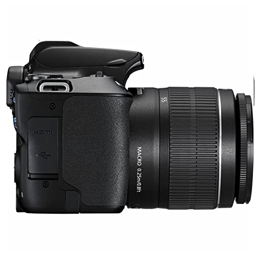 Canon EOS 250D (Rebel SL3) DSLR Camera w/18-55mm F/3.5-5.6 Zoom Lens + EF 75-300mm f/4-5.6 III Lens + 500mm f/8 Focus Lens + 2X 64GB Memory + Case + Filters + Tripod + More (35pc Bundle)