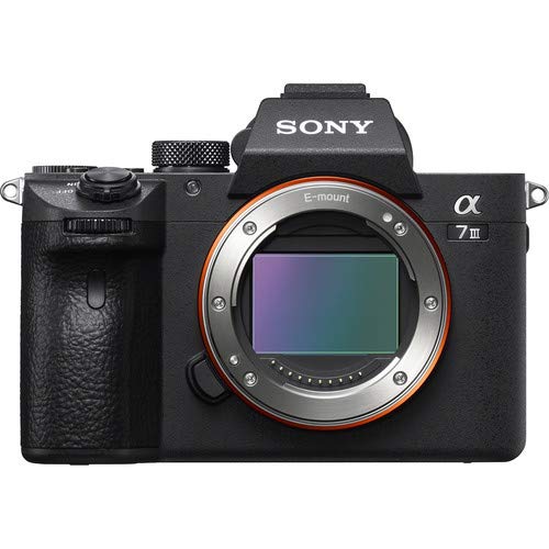 Sony Alpha a7 III Mirrorless Digital Camera & FE 28-70 mm F3.5-5.6 OSS Lens ILCE-7M3K/B Bundle with Tele and Wide-Angle Lens Set, 128GB Memory Card, Microphone, TTL Flash, Camera Bag & Accessories