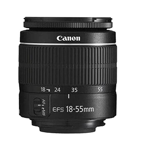 Canon EOS 2000D (Rebel T7) DSLR Camera w/18-55mm F/3.5-5.6 Zoom Lens + EF 75-300mm f/4-5.6 III Lens + 2X 64GB Memory + Case + Filters + Tripod + More (35pc Bundle)