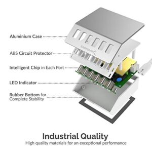 SABRENT Premium 60 Watt (12 Amp) 6 Port Aluminum Family Sized Desktop [UL Certified ] USB Rapid Charger. Smart USB Charger with Auto Detect Technology [Silver] (AX-FLCH)