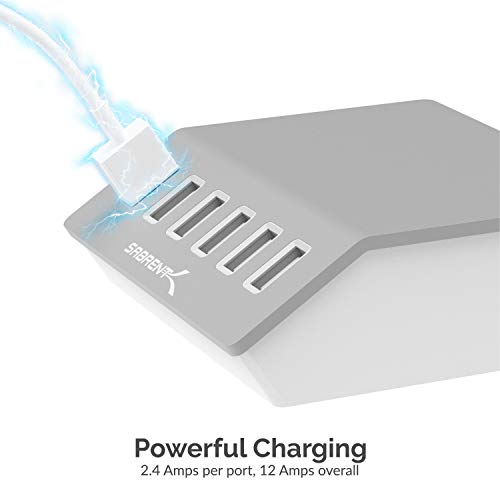 SABRENT Premium 60 Watt (12 Amp) 6 Port Aluminum Family Sized Desktop [UL Certified ] USB Rapid Charger. Smart USB Charger with Auto Detect Technology [Silver] (AX-FLCH)