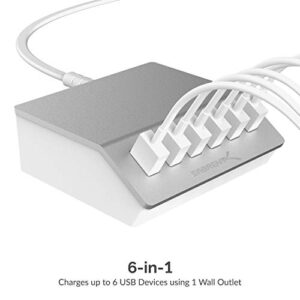 SABRENT Premium 60 Watt (12 Amp) 6 Port Aluminum Family Sized Desktop [UL Certified ] USB Rapid Charger. Smart USB Charger with Auto Detect Technology [Silver] (AX-FLCH)