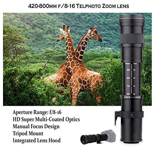 Paging Zone 4000D (Rebel T100) DSLR Camera Bundle with EF-S 18-55mm f/3.5-5.6 Lens + 420-800mm Telephoto Zoom Lens + Professional Kit