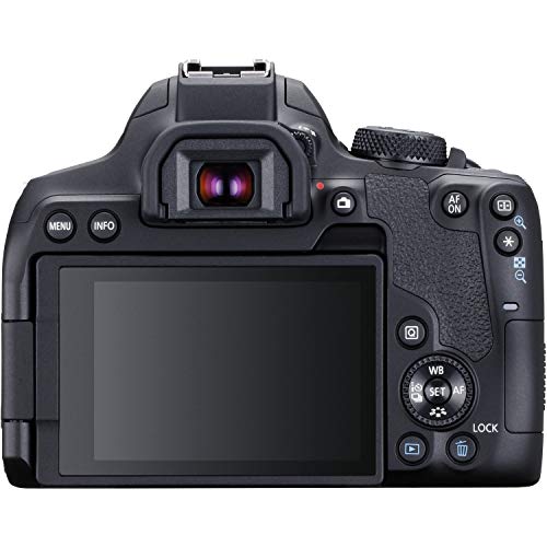Canon EOS Rebel 850D / T8i DSLR Camera (Body Only) + 64GB Memory Card + Case + Card Reader + Flex Tripod + Hand Strap + Cap Keeper + Memory Wallet + Cleaning Kit (Renewed)