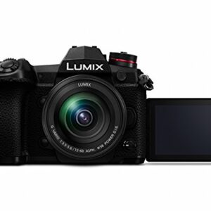 Panasonic LUMIX DC-G9MEB-K G9 Mirrorless Camera with 12-60 mm Lens - Black