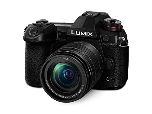 Panasonic LUMIX DC-G9MEB-K G9 Mirrorless Camera with 12-60 mm Lens - Black