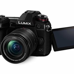 Panasonic LUMIX DC-G9MEB-K G9 Mirrorless Camera with 12-60 mm Lens - Black