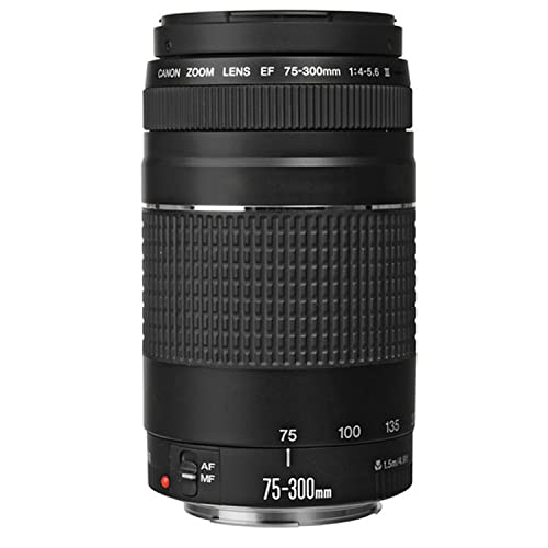 Canon EOS 250D (Rebel SL3) DSLR Camera w/18-55mm F/3.5-5.6 Zoom Lens + 75-300mm F/4-5.6 III Lens + 2X 64GB Memory + Hood + Case + Filters + Tripod + More (35pc Bundle)