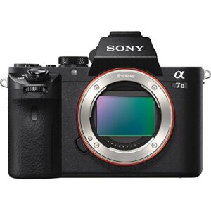 Sony Alpha a7II Mirrorless Interchangeable Lens Camera Body Bundle with 64GB Memory Card, Battery Grip, Flash, Camera Bag, Paintshop Pro, Dual Batteries and Accessories (9 Items)