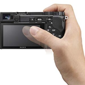 Sony Alpha A6100 Mirrorless Camera (Renewed)