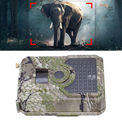 Kadimendium Trail Camera, Hunting Camera 3MP Color CMOS 0.8s Fast Shooting Professional for Orchard Farm