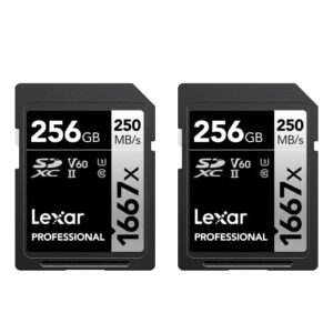 lexar professional 1667x 256gb (2-pack) sdxc uhs-ii cards, up to 250mb/s read, for professional photographer, videographer, enthusiast (lsd1667256g-b2nnu)