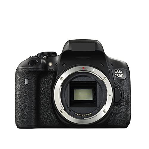 DYOSEN Digital Camera EOS 750D DSLR Camera EF-S 18-55mm F/3.5-5.6 is STM Lens Digital Camera Photography (Size : Body only)