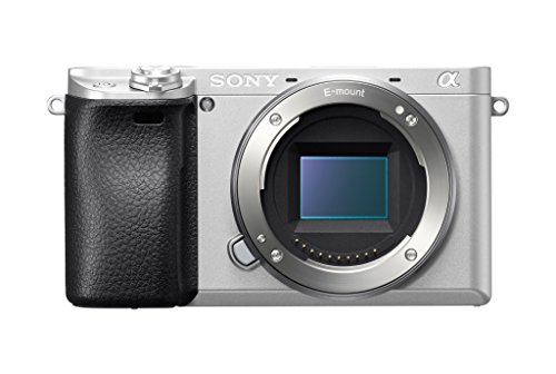 Sony Alpha a6300 Mirrorless Camera