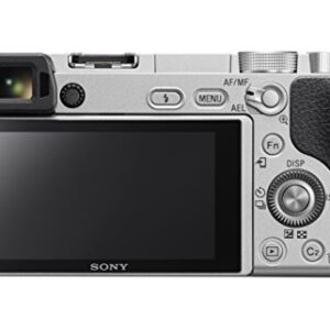 Sony Alpha a6300 Mirrorless Camera