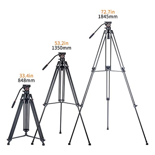 Video Tripod System, Cayer BV30L 72 inch- Professional Heavy Duty Aluminum Twin Tube Tripod, K3 Fluid Head, Mid-Level Spreader, Max Loading 13.2 LB, DSLR Camcorder, Plus 1 Bonus Quick Release Plate