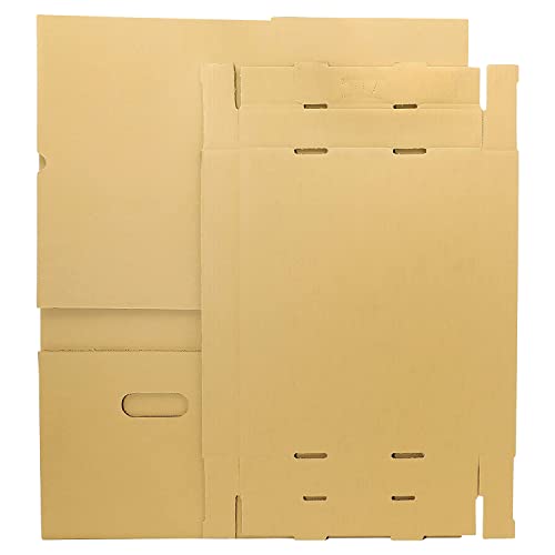 Lineco, RTA Record Storage Carton, 12x15x10 Inch, Archival Acid-Free Buffered Double Layered Panels, No Adhesive or Tools Needed (Pack of 5) Tan