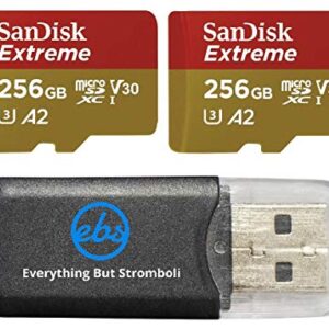 SanDisk 256GB Micro SDXC Extreme Memory Card 2 Pack Works with GoPro Hero 8 Black, GoPro Max 360 Action Cam U3 V30 4K Class 10 (SDSQXA1-256G-GN6MN) Bundle with 1 Everything But Stromboli Card Reader