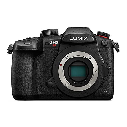 Panasonic LUMIX GH5s Mirrorless Camera Body with 64GB Card and Accessory Bundle