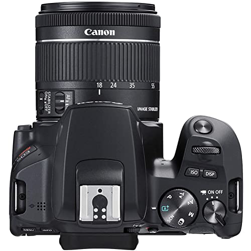 Camera Bundle for Canon Rebel SL3 with EF-S 18-55mm f/4-5.6 is STM and EF 75-300mm f/4-5.6 III Lens + Accessories Bundle (128GB, 50in Tripod, Extra Battery, and More)